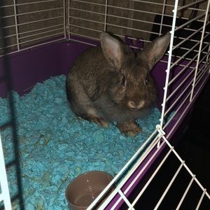 Meet your Posher, Krystal